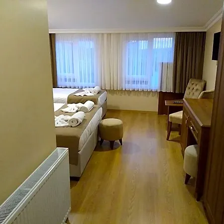 Hotel Ribad Sultanahmet 2*